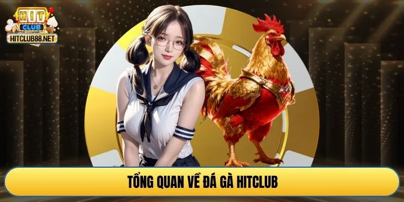 Tổng quan về đá gà HITCLUB